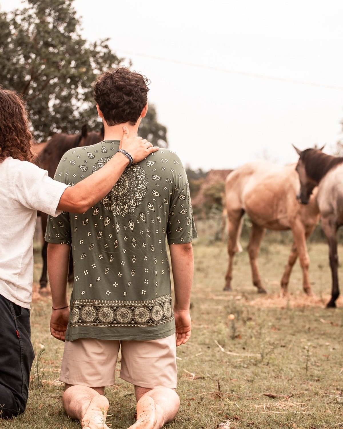 Manada livre no campo