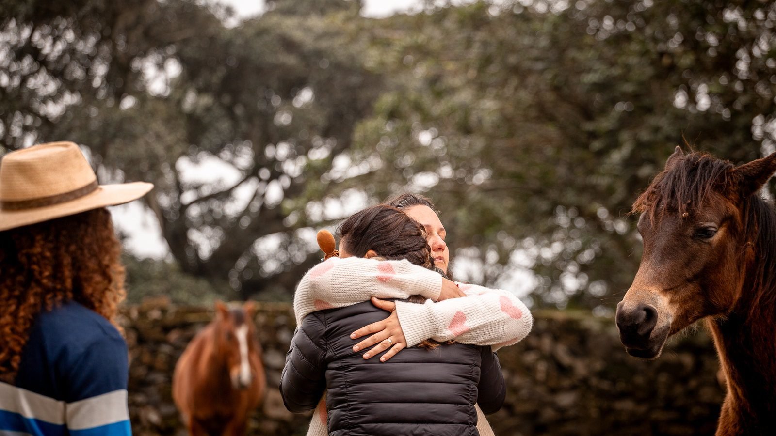 Encontro entre pessoas e cavalos