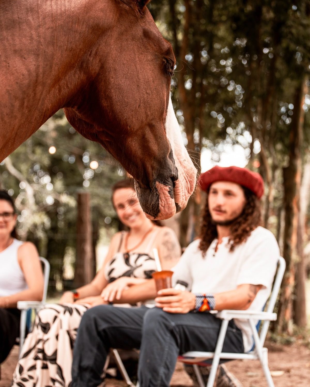 Grupo em sessão com cavalos