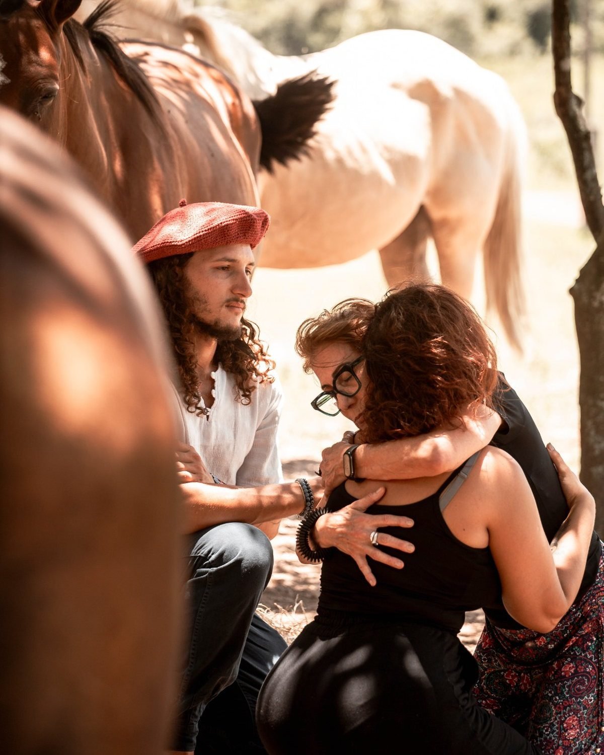 Encontro com cavalos