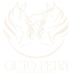 Guto Petry